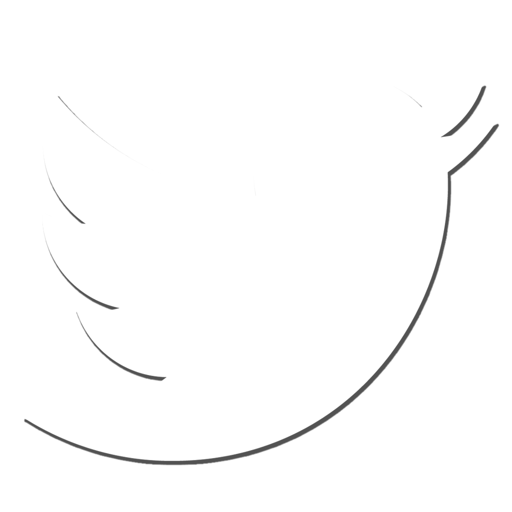 Twitter icon